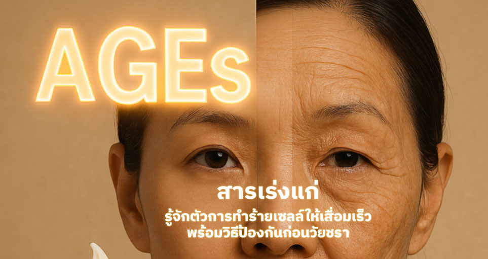 template-ภาพบทความ-website-30